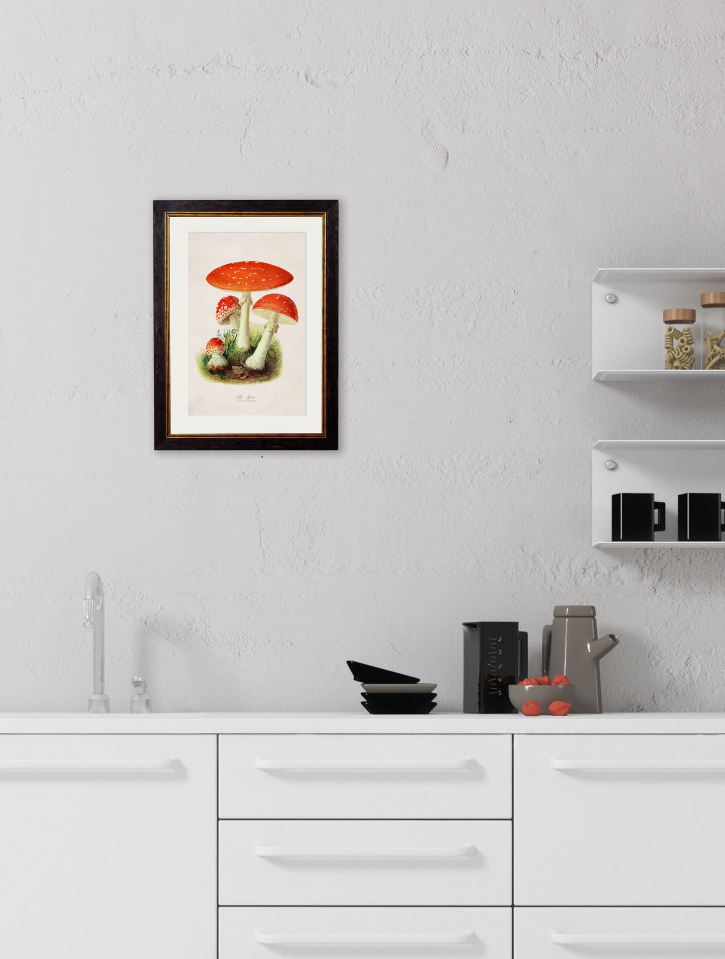 c 1913 fly agaric in size 50 x 70cm - glass-fronted framed wall art print with solid wood frame, adds elegance to your decor