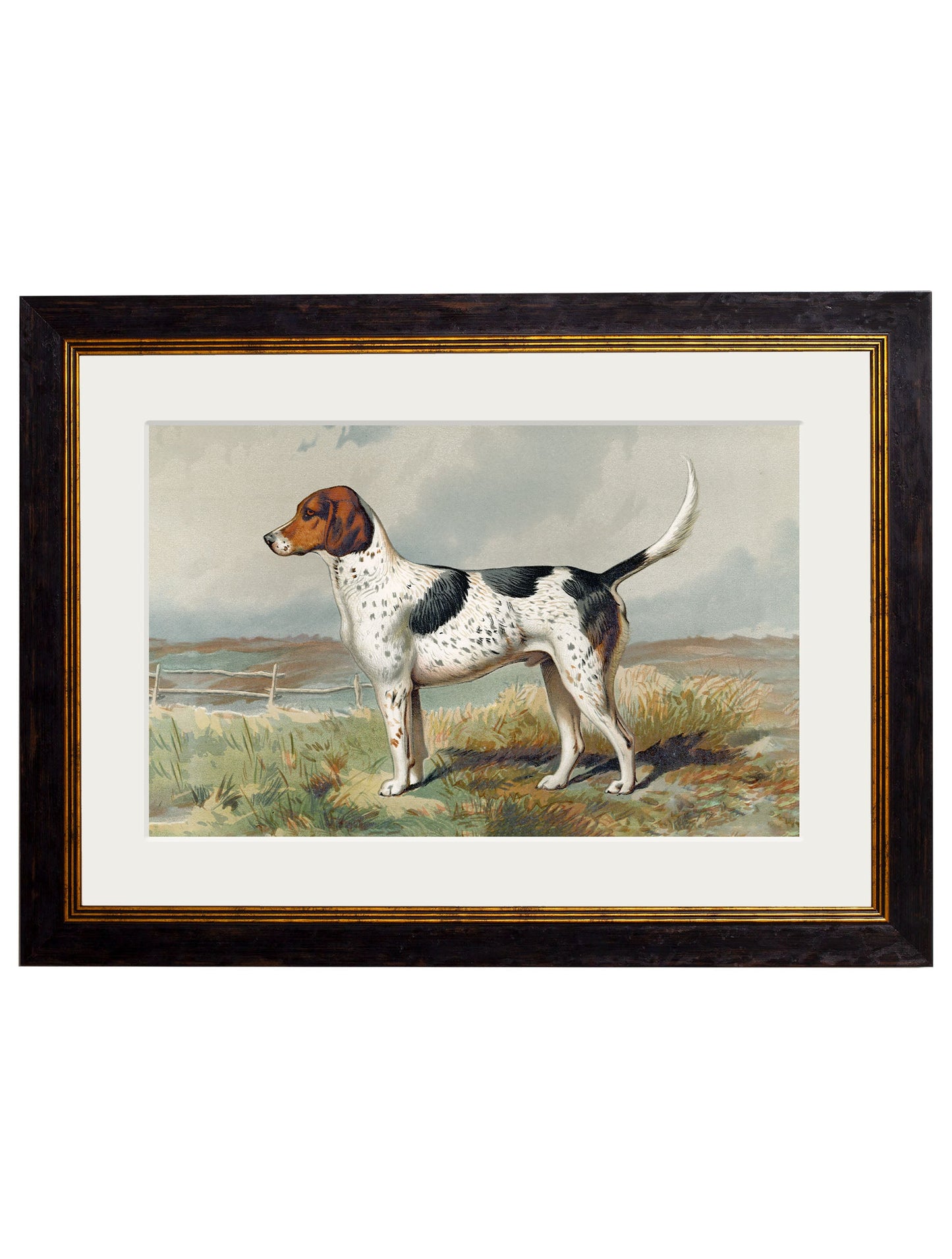 c 1881 gun dogs in size 38 x 50cm - glass-fronted framed wall art print with solid wood frame, ideal for modern interiors