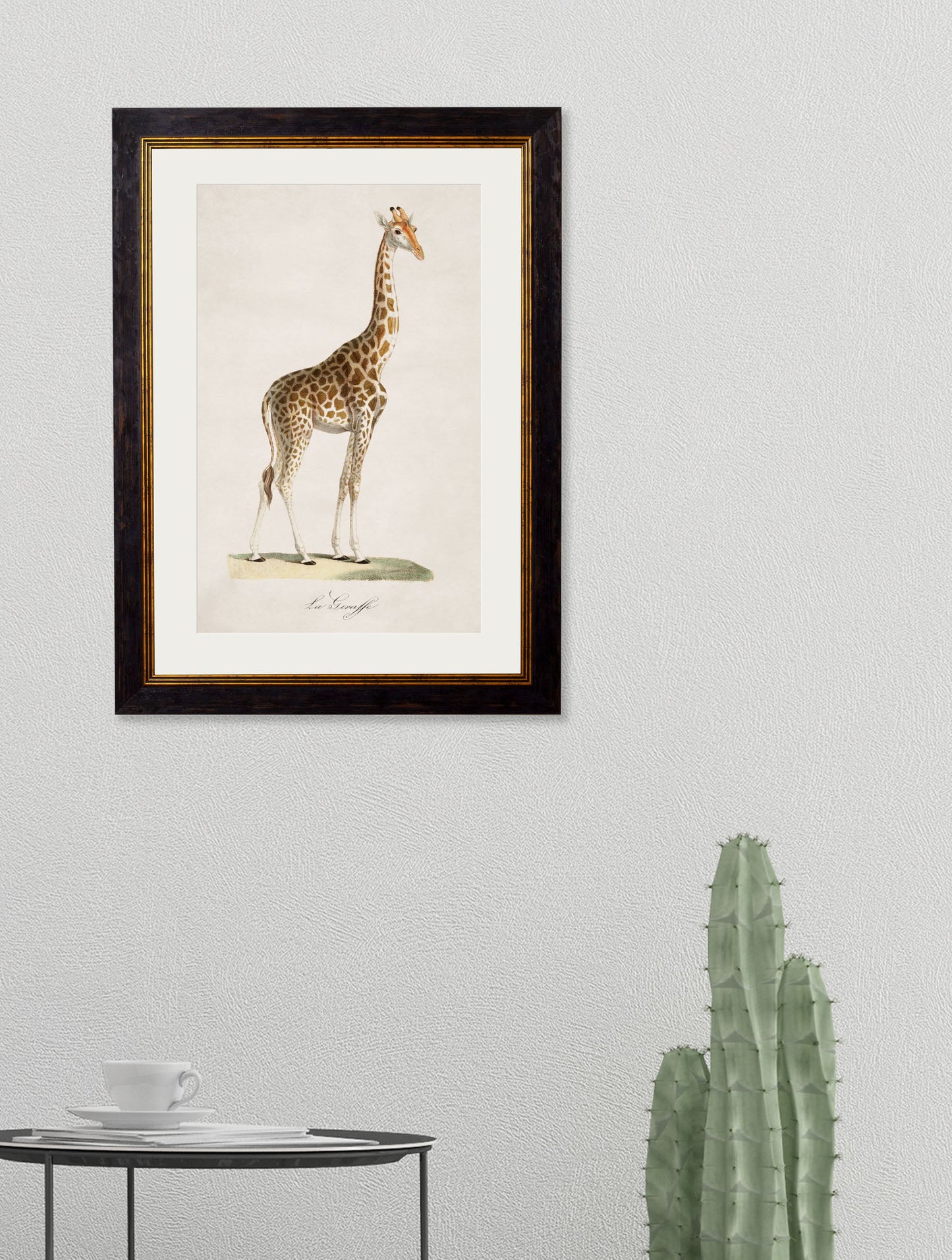 c 1836 giraffe giclee print in size 50 x 70cm - glass-fronted framed wall art print with solid wood frame, a beautiful addition to stylish homes