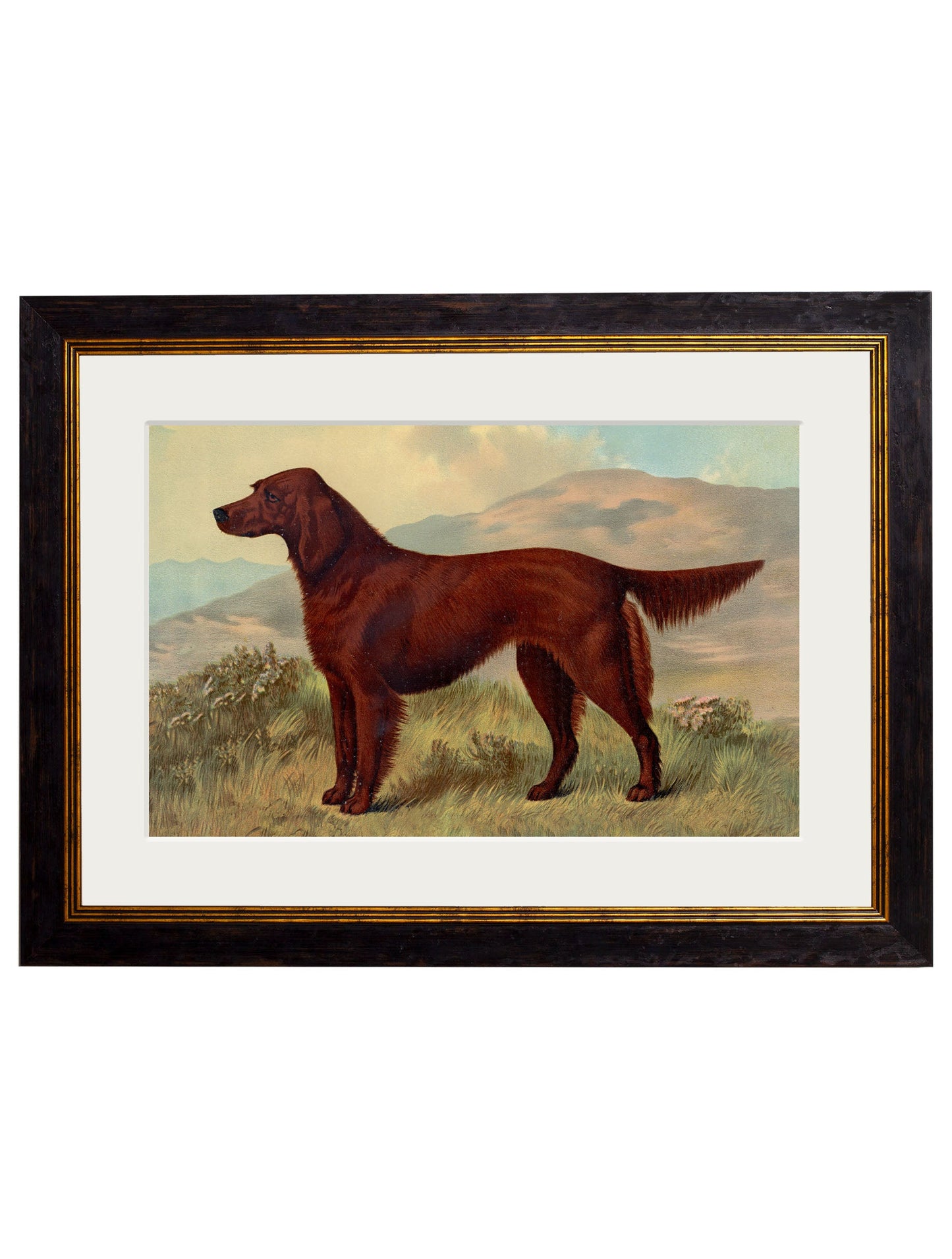 c 1881 working dogs in size 38 x 50cm - glass-fronted framed wall art print with solid wood frame, luxury wall art for sophisticated spaces