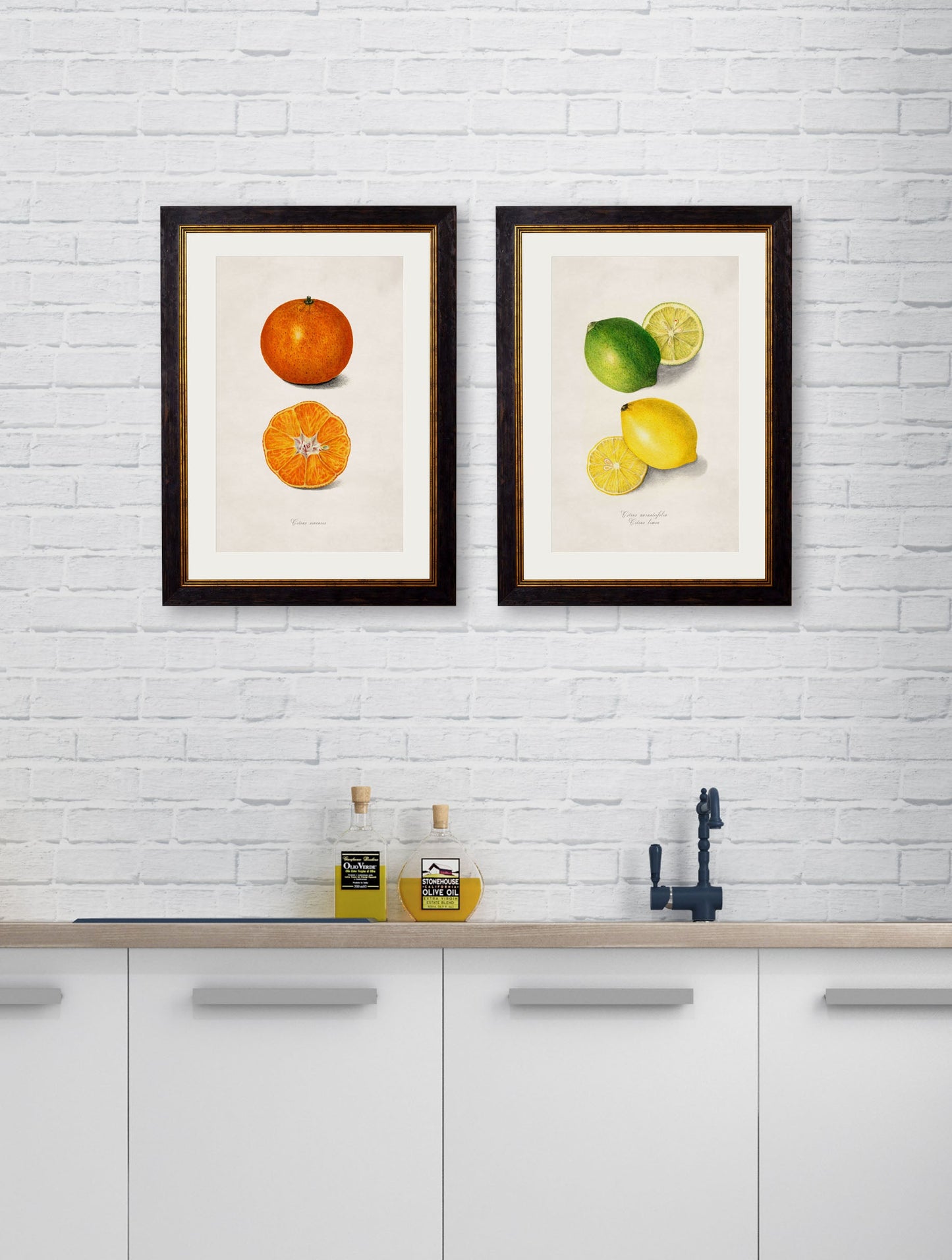 c 1886 study of oranges in size 38 x 50cm - glass-fronted framed wall art print with solid wood frame, luxury wall art for sophisticated spaces