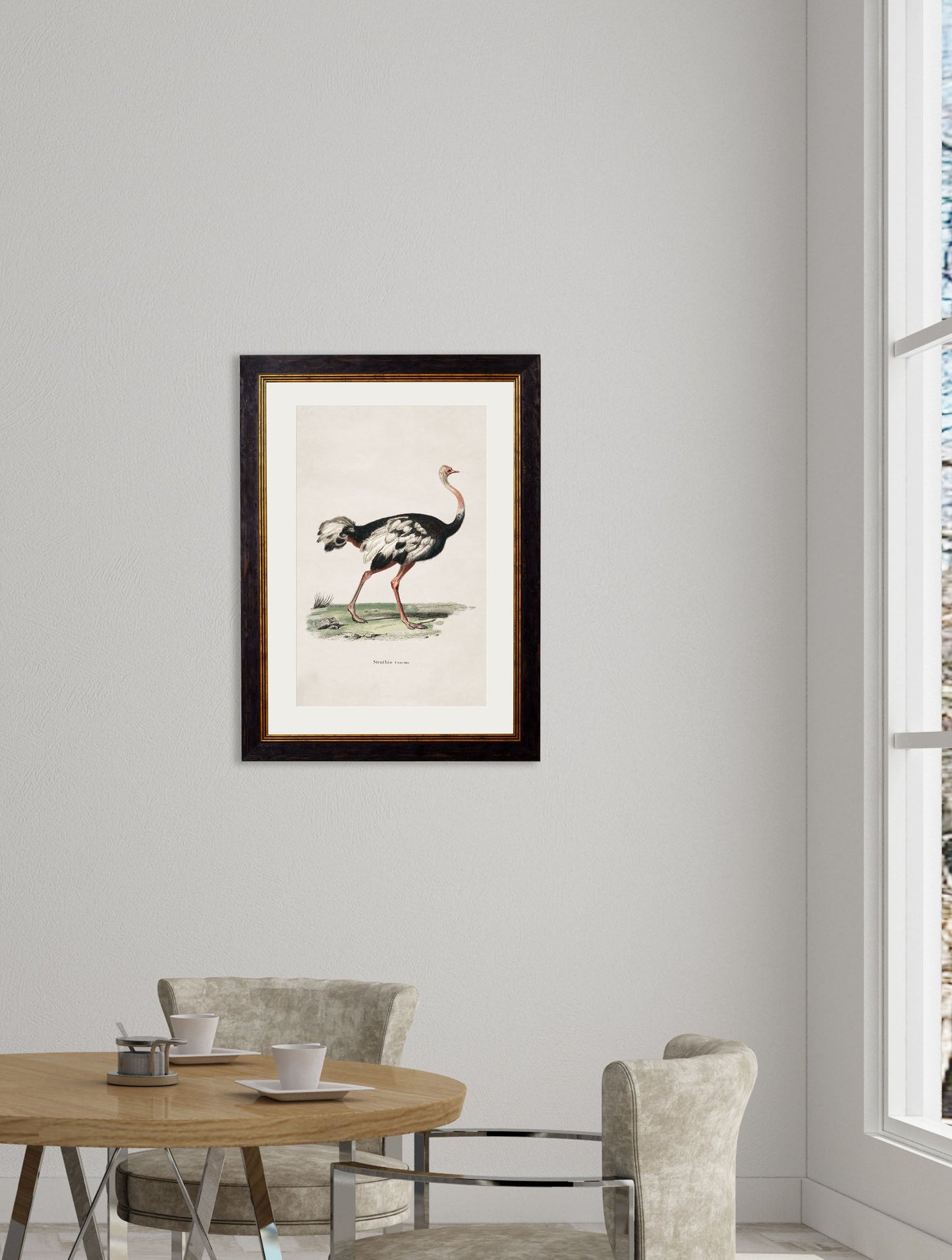c 1846 ostrich in size 50 x 70cm - glass-fronted framed wall art print with solid wood frame, perfect for statement wall decor