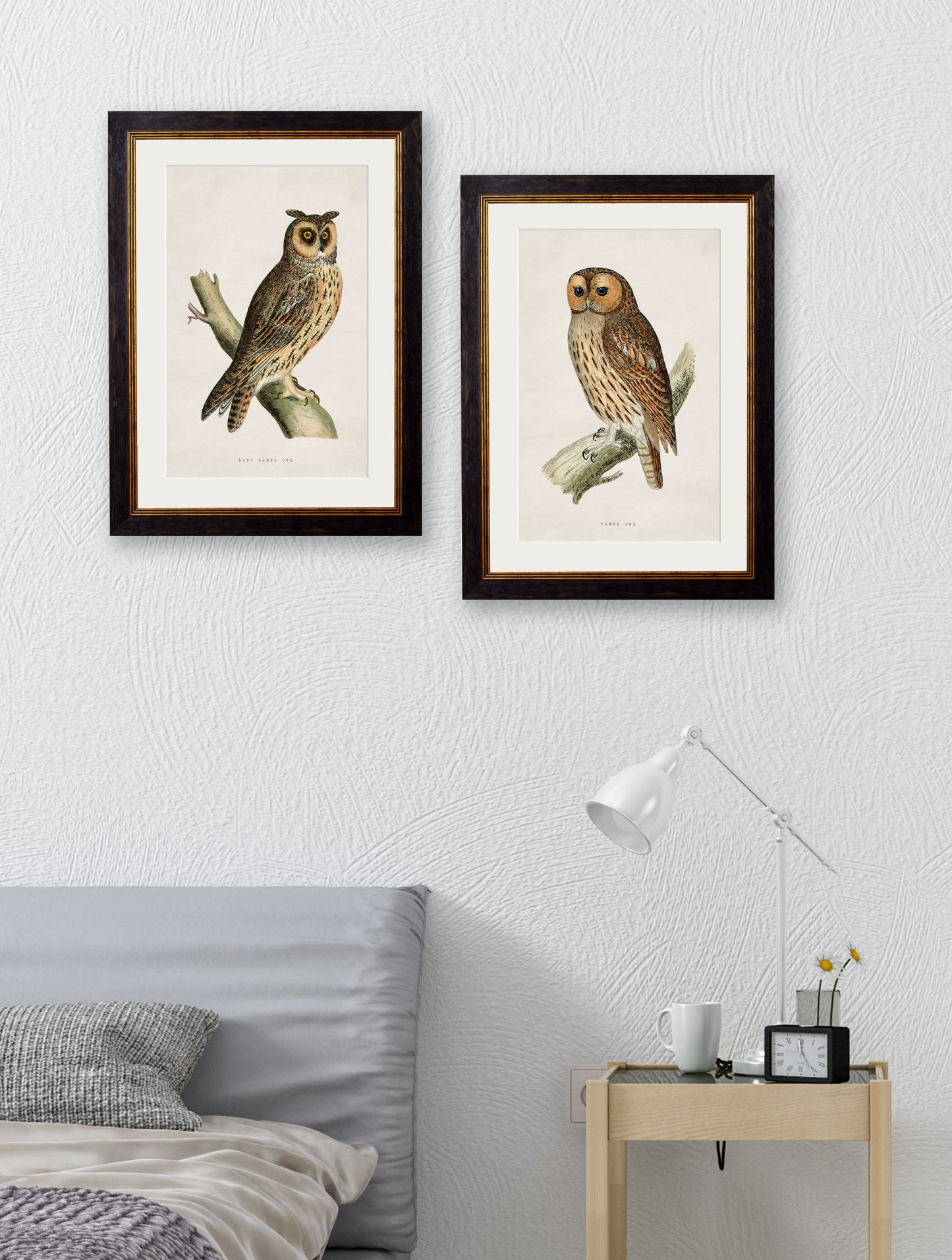 c 1870 british birds of prey in size 38 x 50cm - glass-fronted framed wall art print with solid wood frame, ideal for contemporary home styling