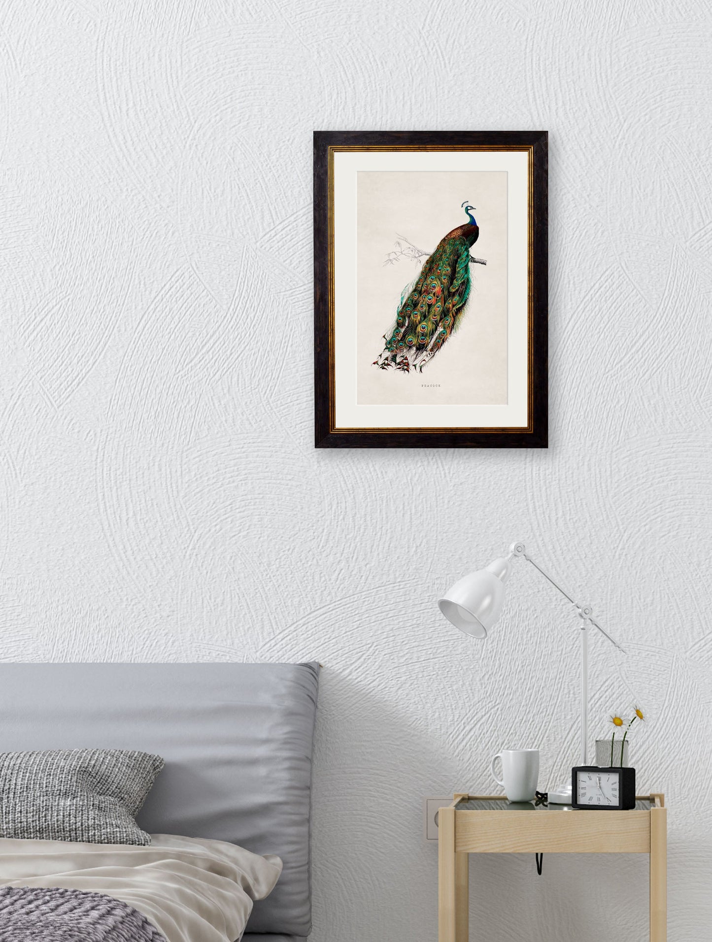 c 1847 peacock framed print in size 50 x 70cm - glass-fronted framed wall art print with solid wood frame, designed for high-end interior design
