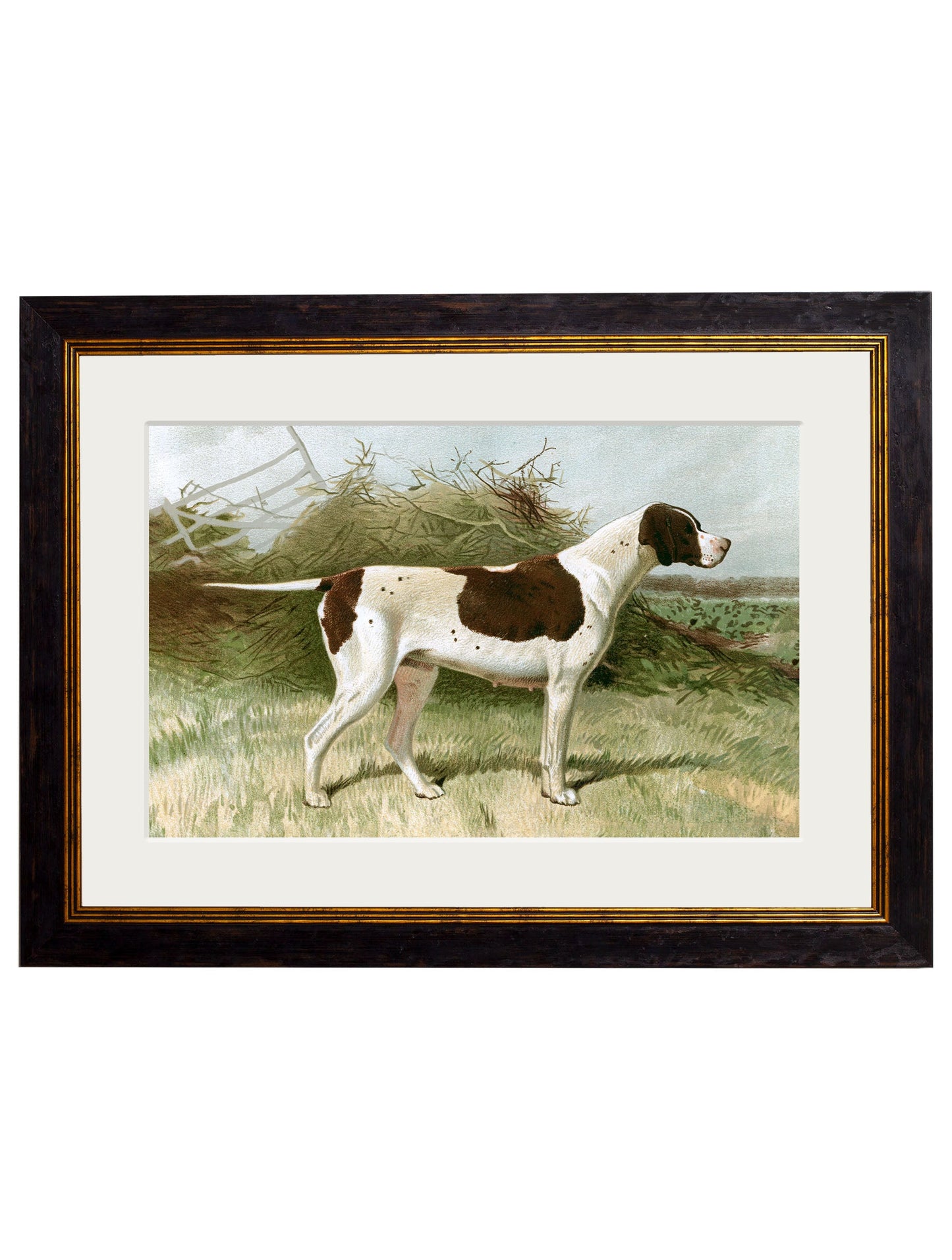 c 1881 gun dogs in size 38 x 50cm - glass-fronted framed wall art print with solid wood frame, ideal for modern interiors