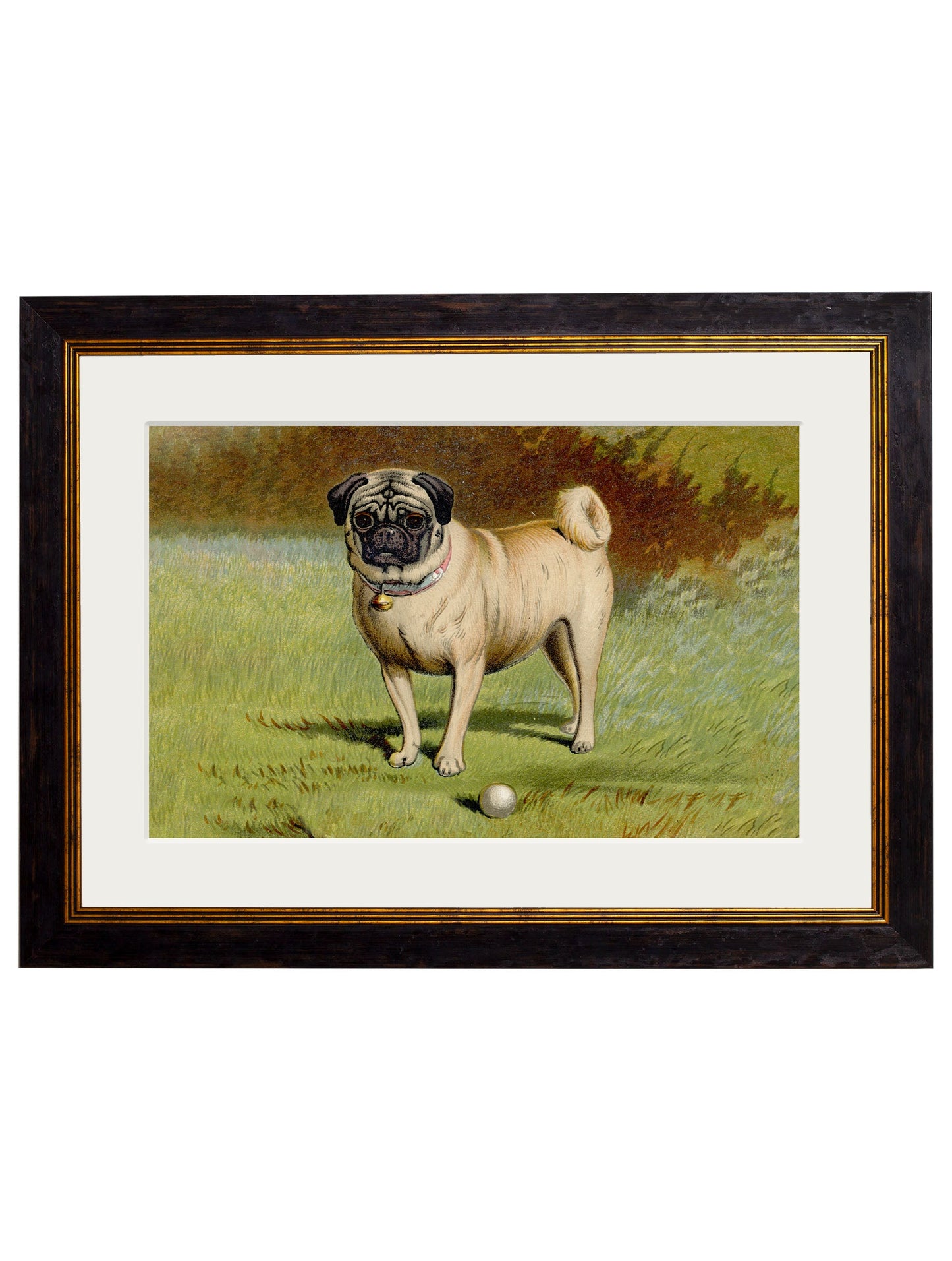 c 1881 dogs in size 38 x 50cm - glass-fronted framed wall art print with solid wood frame, perfect for luxury home decor