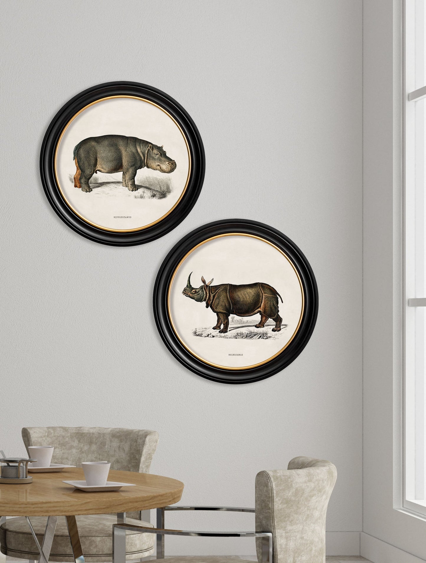 c 1846 rhino hippo round frames in size 44 x 44cm - glass-fronted framed wall art print with solid wood frame, luxury wall art for sophisticated spaces
