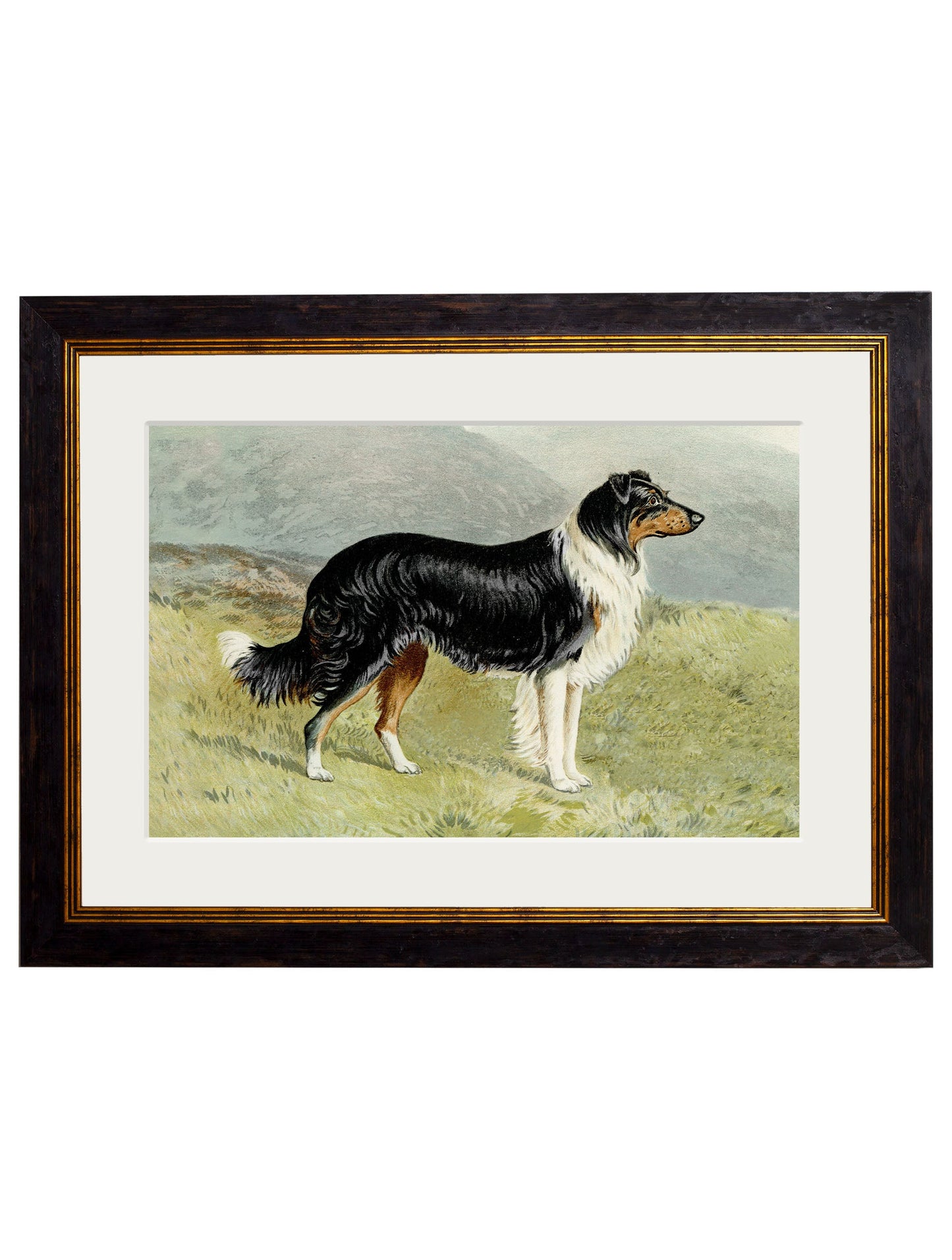 c 1881 working dogs in size 38 x 50cm - glass-fronted framed wall art print with solid wood frame, adds elegance to your decor