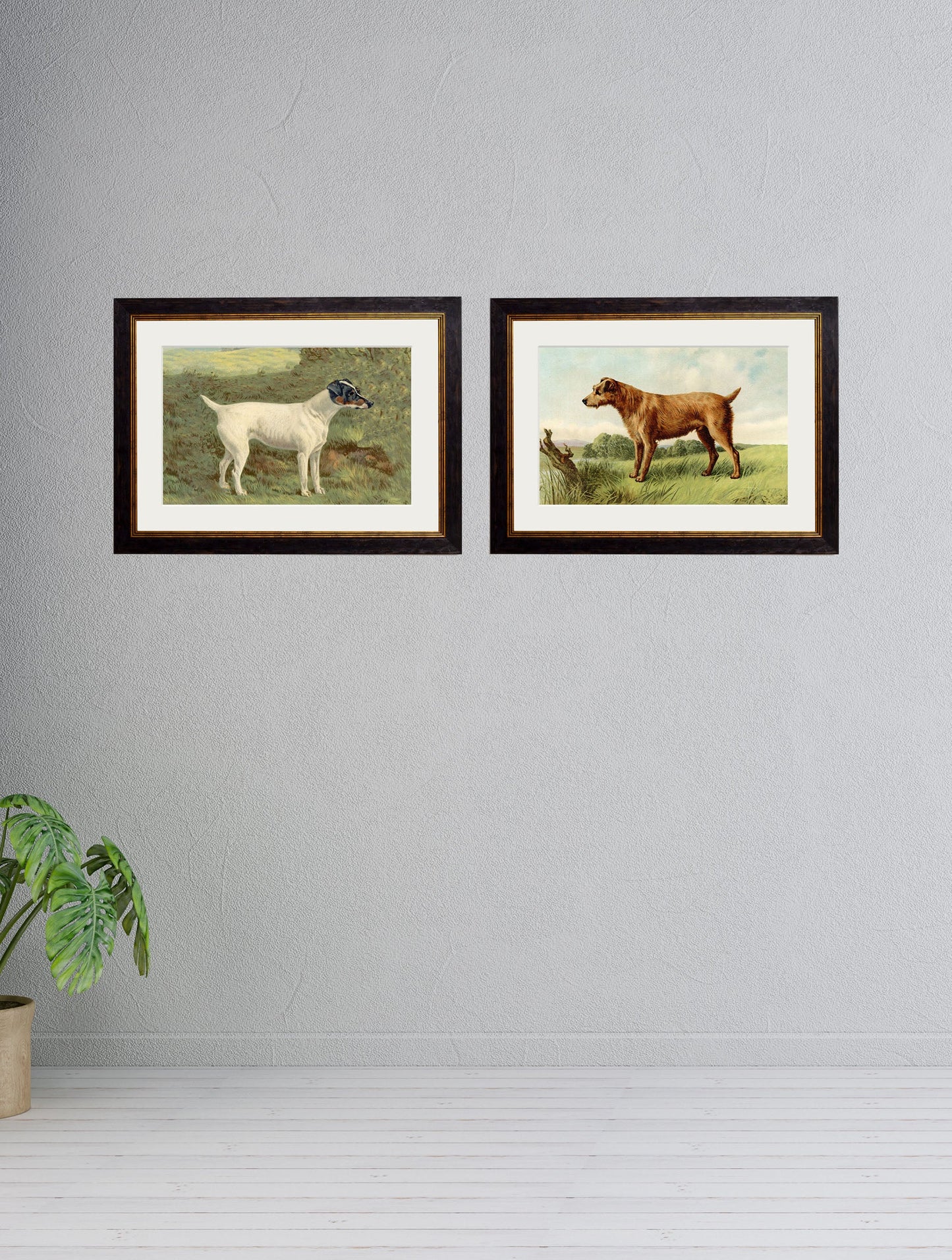 c 1881 terriers in size 38 x 50cm - glass-fronted framed wall art print with solid wood frame, ideal for contemporary home styling
