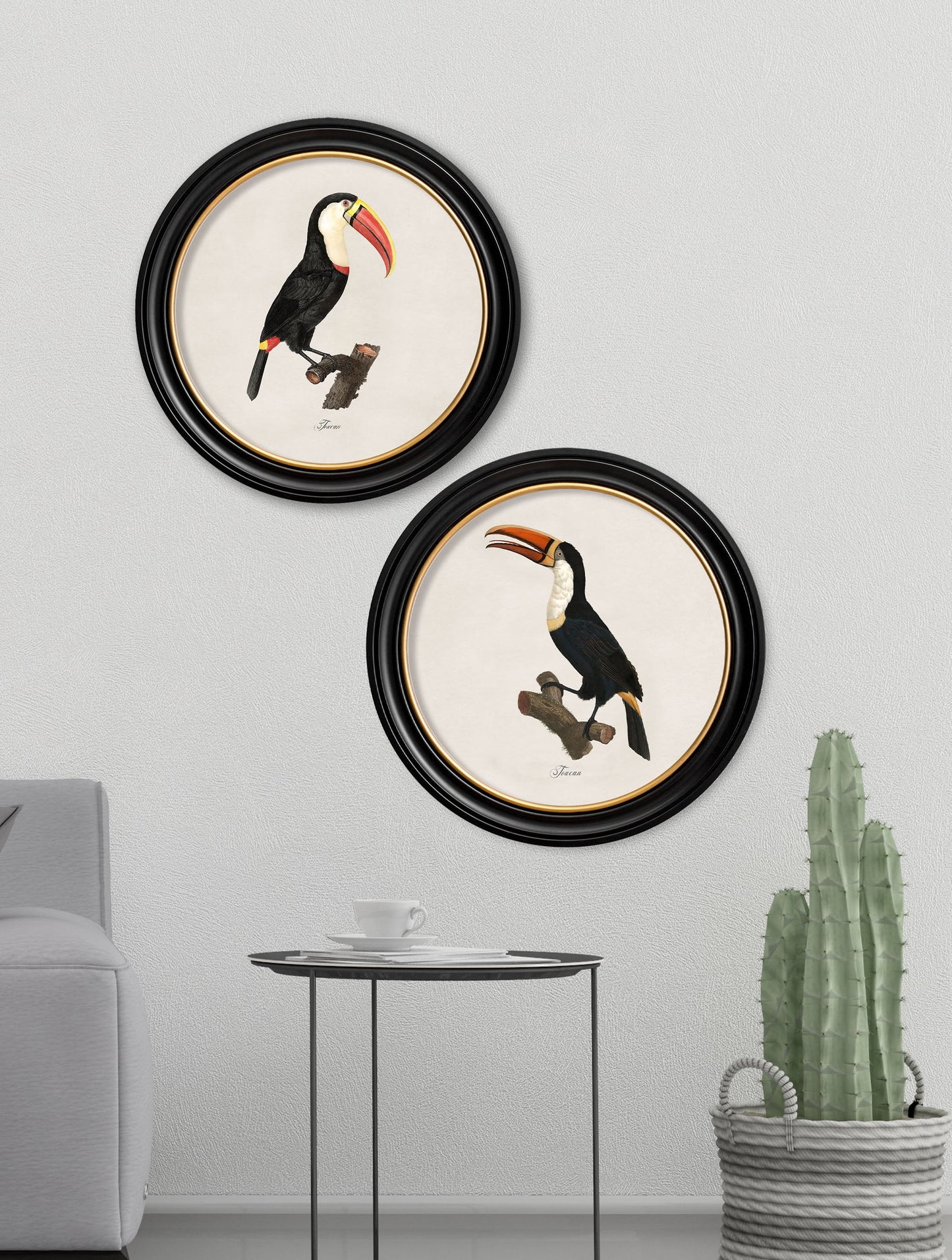 c 1809 toucan round frame 1 in size 44 x 44 cm - glass-fronted framed wall art print with solid wood frame, ideal for modern interiors
