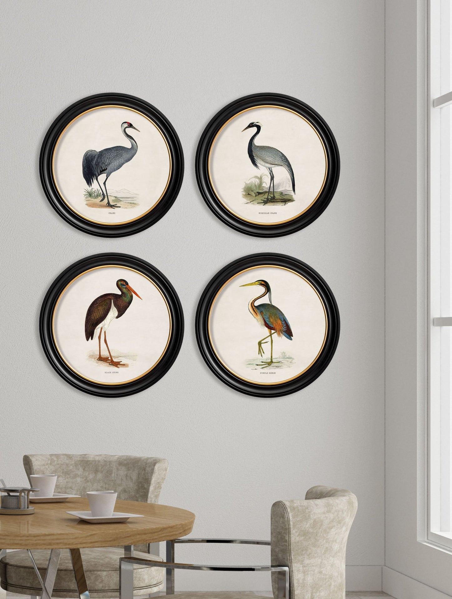 c 1870 wading birds in round frames in size 44 x 44cm - glass-fronted framed wall art print with solid wood frame, designed for high-end interior design