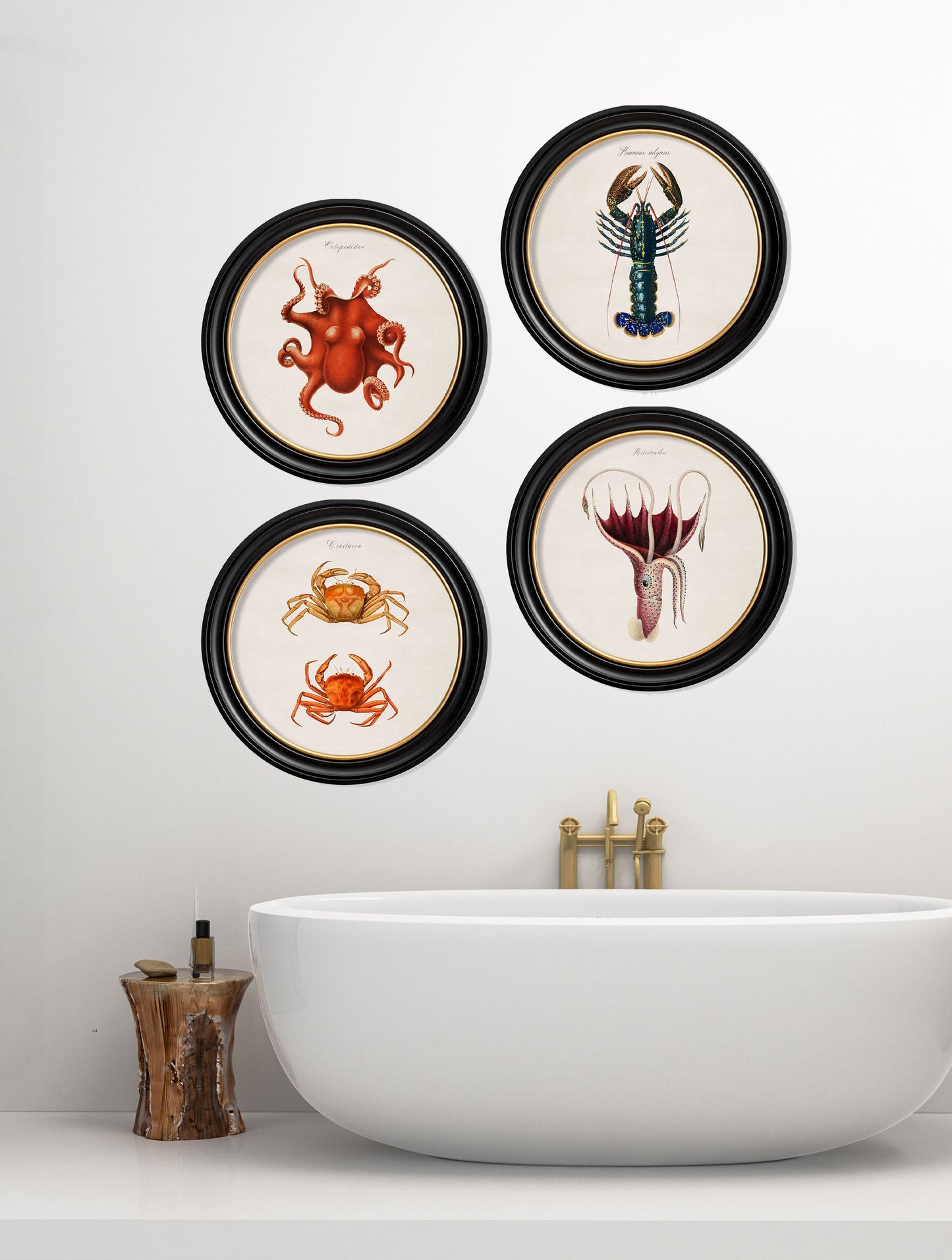 c 1876 marine animals in round frames in size 44 x 44cm - glass-fronted framed wall art print with solid wood frame, adds elegance to your decor