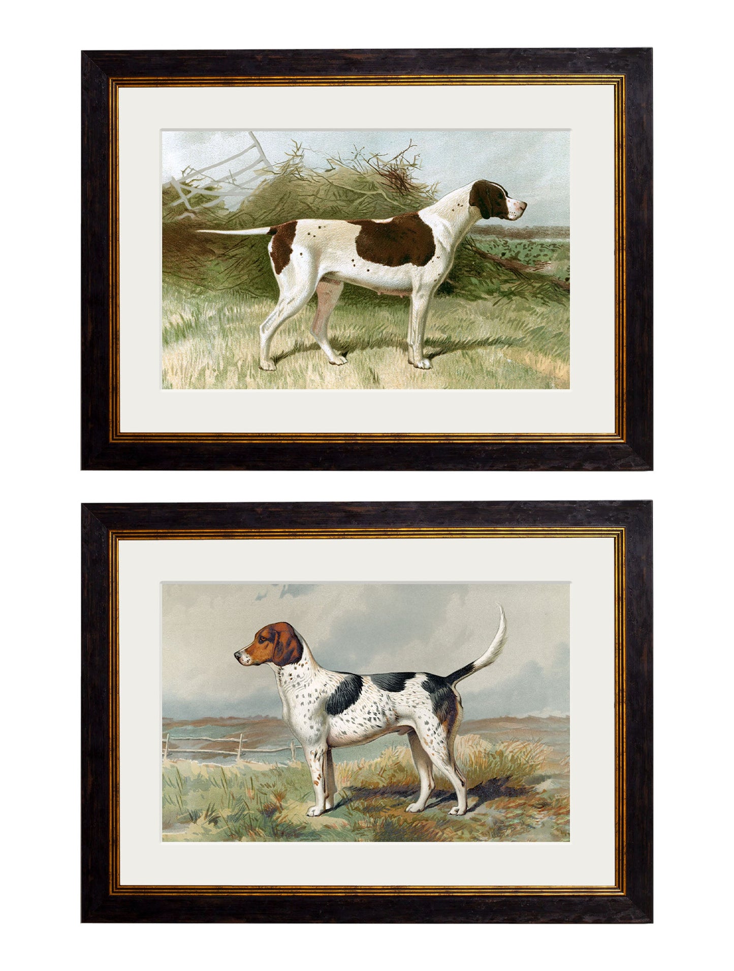 c.1881 Gun Dogs in size 38 x 50cm - glass-fronted framed wall art print with solid wood frame, designed for high-end interior design