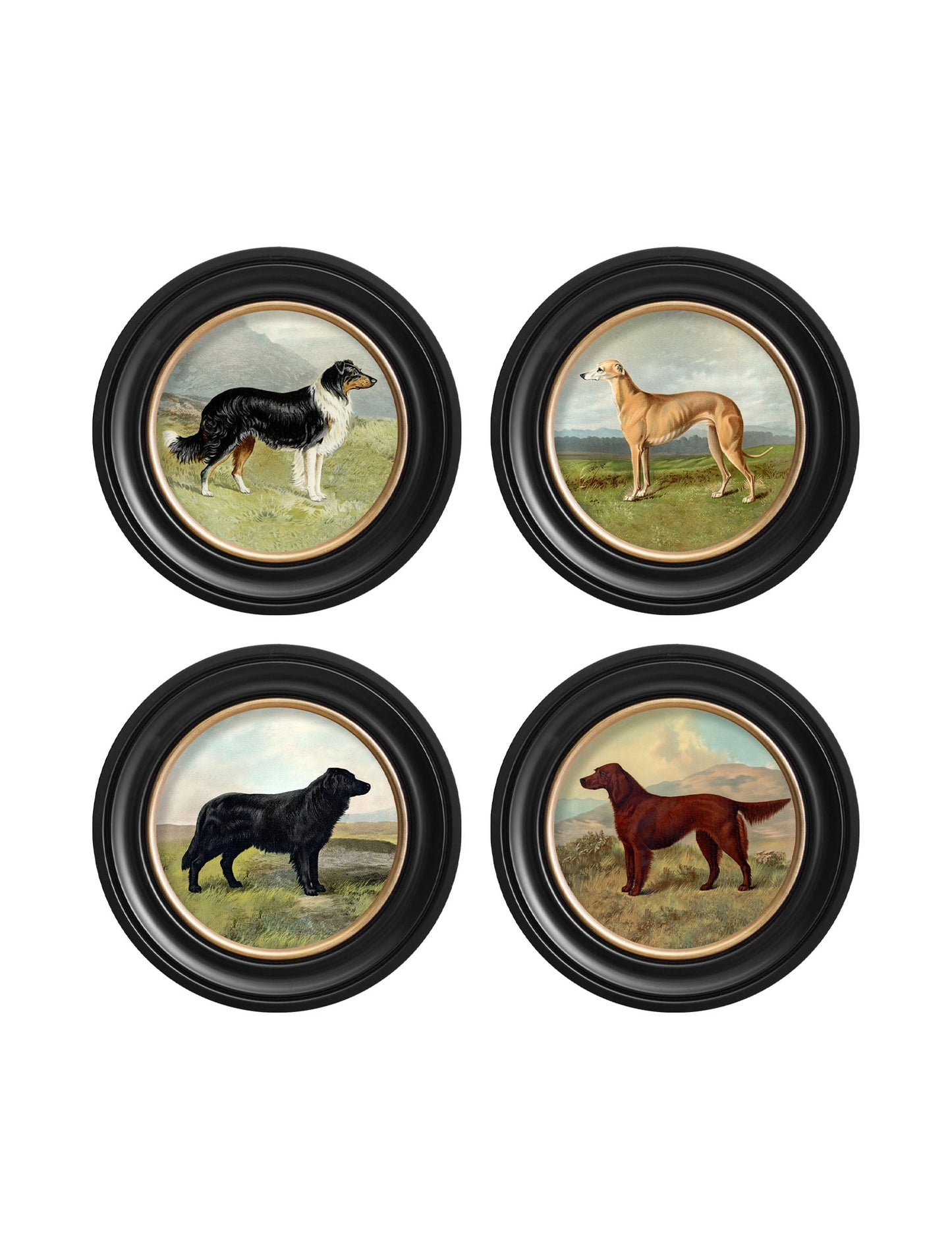 c 1881 working dogs round frame 1 - premium glass-fronted framed art print with solid wood frame, perfect for statement wall decor