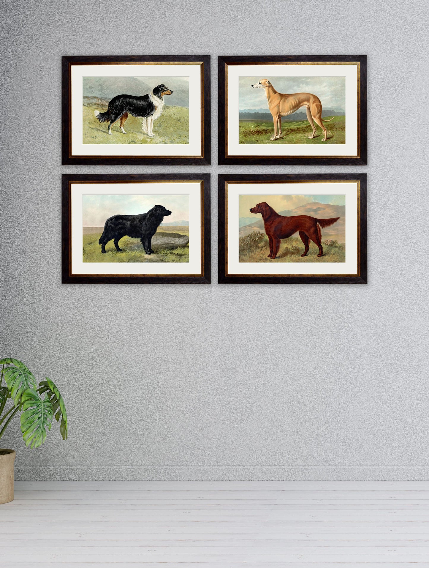 c 1881 working dogs in size 38 x 50cm - glass-fronted framed wall art print with solid wood frame, a beautiful addition to stylish homes