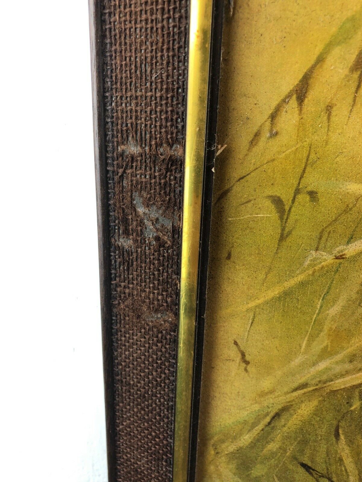 Vintage Retro Picture of A Tiger By Leonard Pearman. 70’s Print