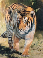 Load image into Gallery viewer, Vintage Retro Picture of A Tiger By Leonard Pearman. 70’s Print

