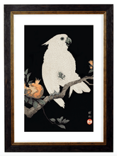 Load image into Gallery viewer, Japanese Cockatoo, Print of Vintage Illustrated Japanese Bird- 1900s Artwork Print. Framed Wall Art PictureVintage Frog T/APictures &amp; Prints
