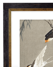 Load image into Gallery viewer, Japanese Flying Swallows, Print of Vintage Illustrated Japanese Birds- 1900s Artwork Print. Framed Wall Art PictureVintage Frog T/APictures &amp; Prints
