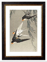 Load image into Gallery viewer, Japanese Flying Swallows, Print of Vintage Illustrated Japanese Birds- 1900s Artwork Print. Framed Wall Art PictureVintage Frog T/APictures &amp; Prints
