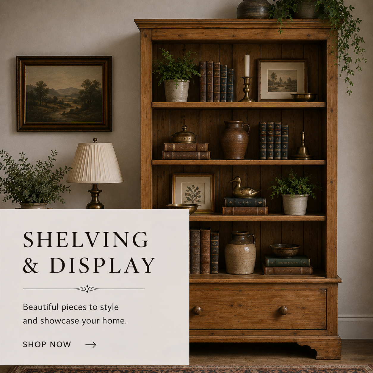 Shelving & Display