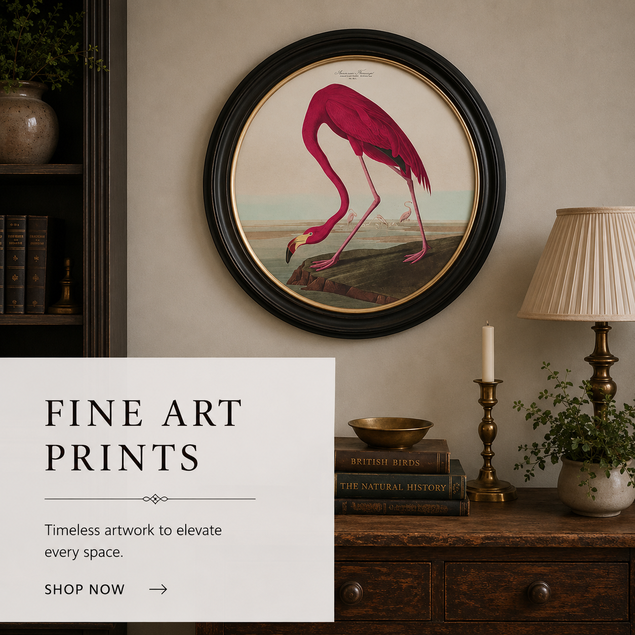 The Fine Art Print Collection