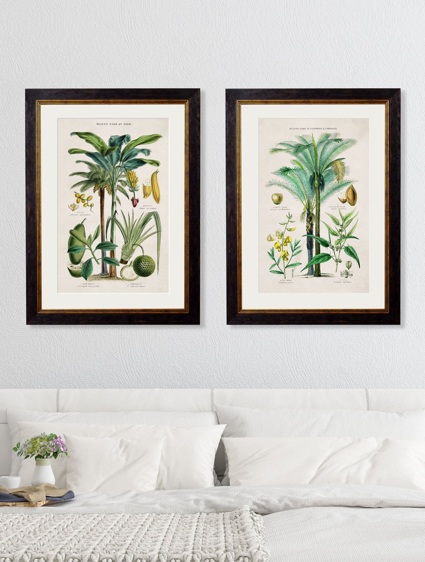 c 1877 tropical plants giclee print in size 38 x 50cm - glass-fronted framed wall art print with solid wood frame, adds elegance to your decor