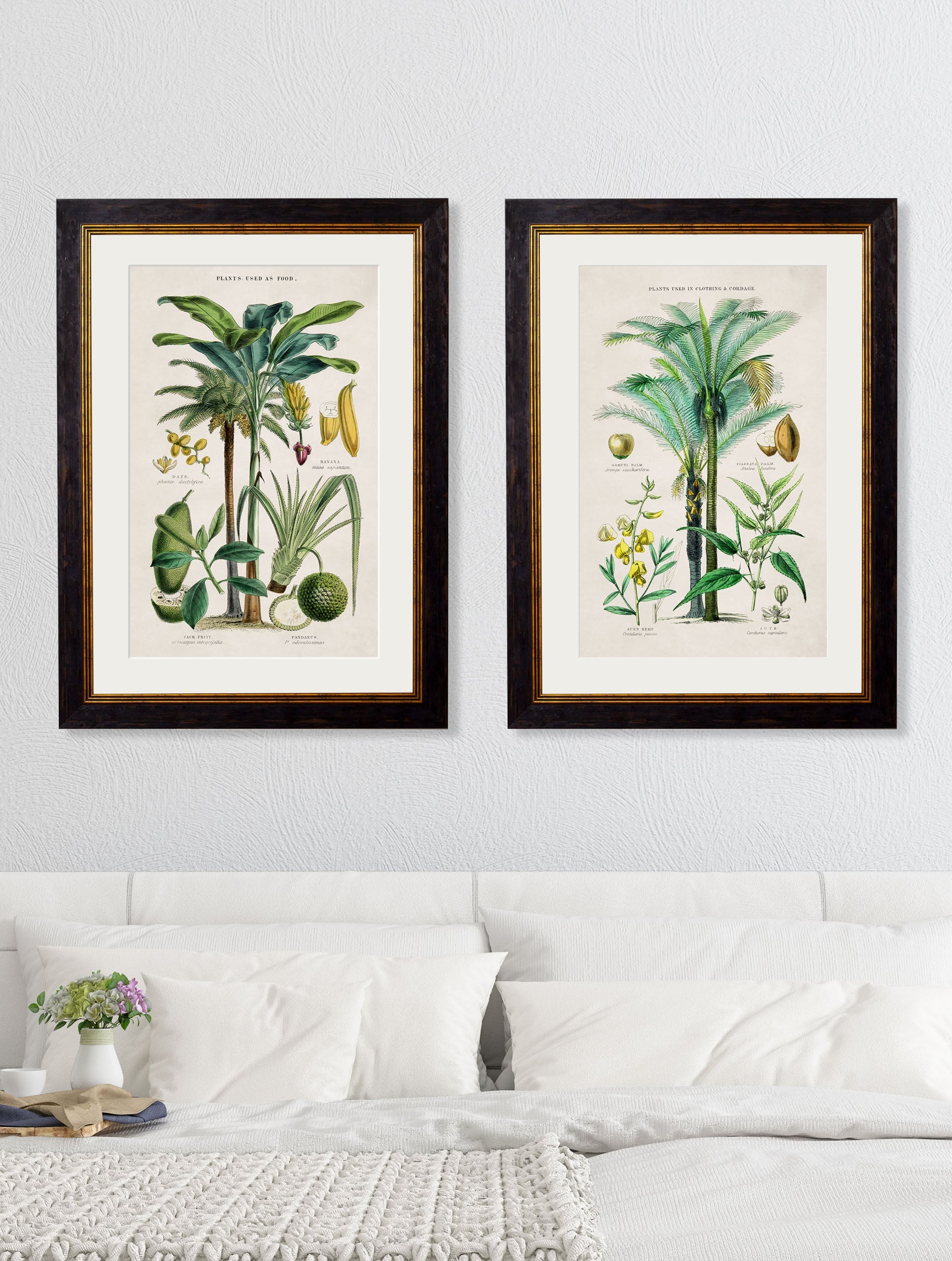 c 1877 tropical plants giclee print in size 38 x 50cm - glass-fronted framed wall art print with solid wood frame, adds elegance to your decor