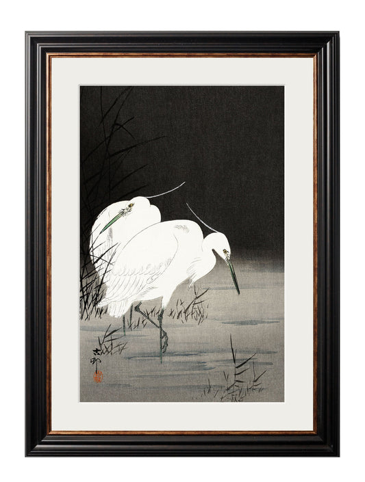 c.1910 Two Egrets in Reeds - Ohara Koson in size 38 x 50cm - glass-fronted framed wall art print with solid wood frame, ideal for modern interiors