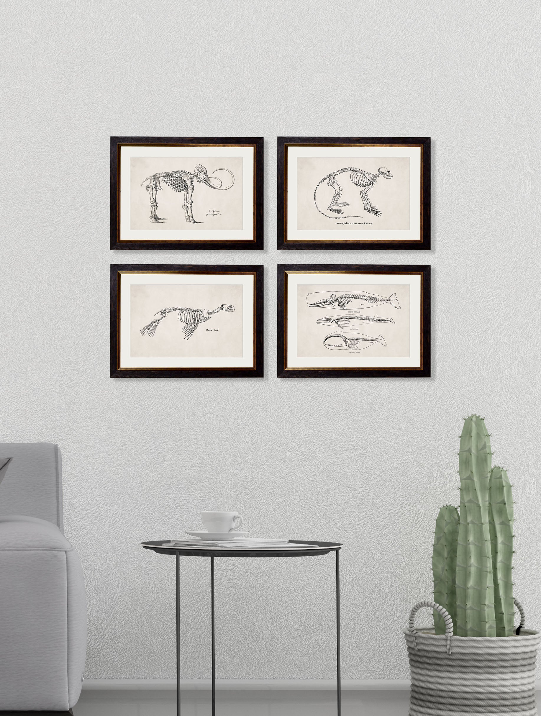c 1870 whale skeletons print in size 38 x 50cm - glass-fronted framed wall art print with solid wood frame, ideal for contemporary home styling