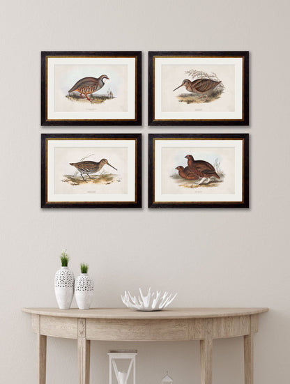 c 1837s british game birds in size 38 x 50cm - glass-fronted framed wall art print with solid wood frame, a beautiful addition to stylish homes