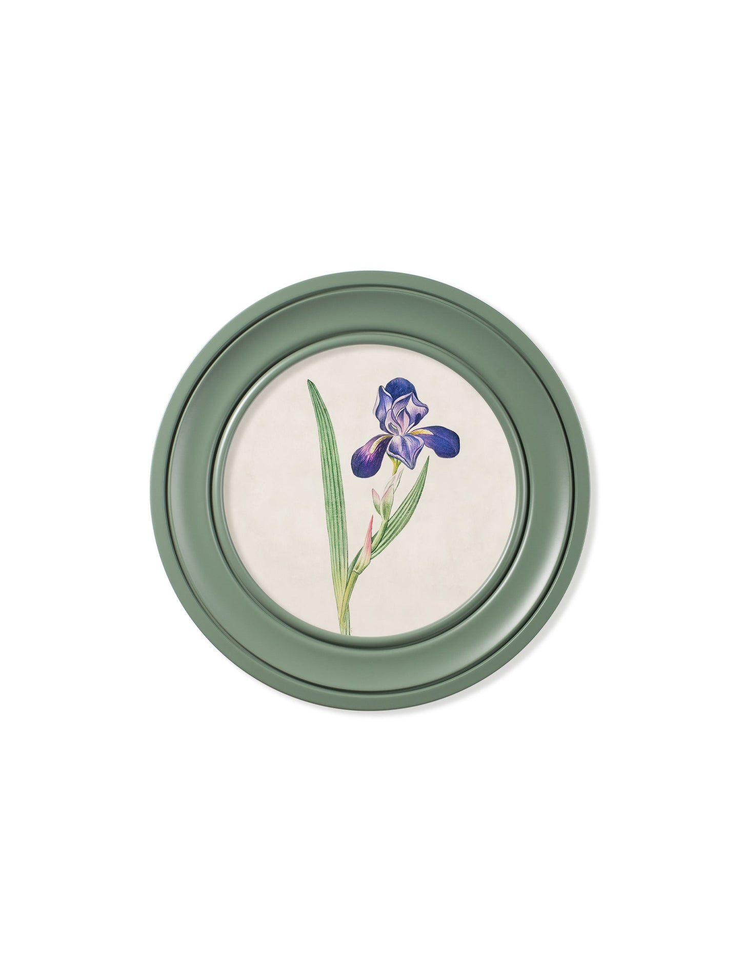c 1780 flowering plants round frame green in size 44 x 44cm - glass-fronted framed wall art print with solid wood frame, ideal for modern interiors