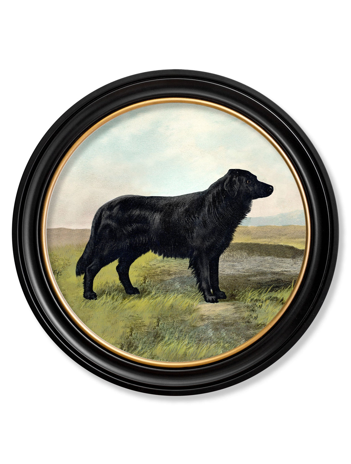c 1881 working dogs round frame 1 in size 70 x 70cm - glass-fronted framed wall art print with solid wood frame, designed for high-end interior design