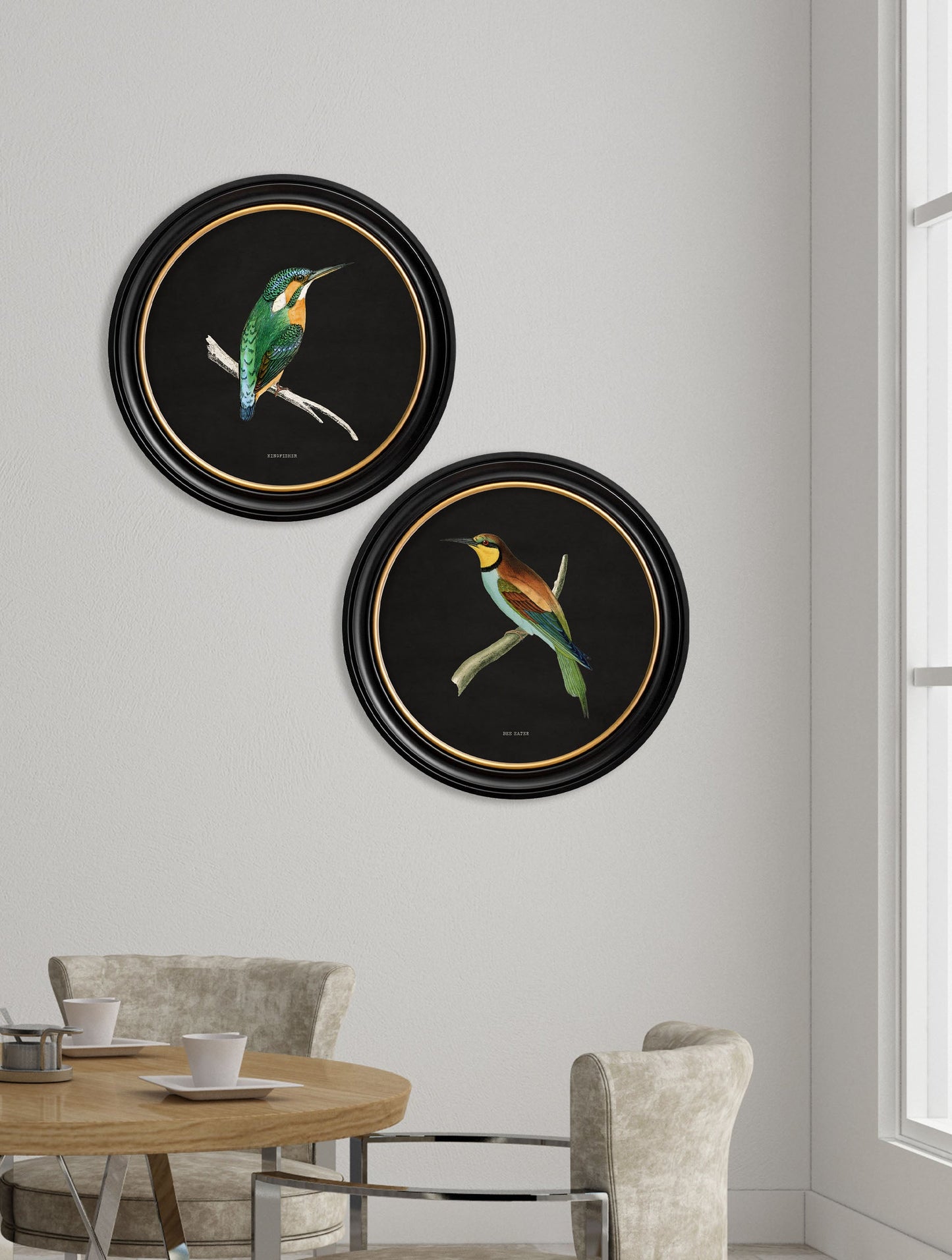 c 1870 kingfisher and bee eater black in size 44 x 44cm - glass-fronted framed wall art print with solid wood frame, designed for high-end interior design