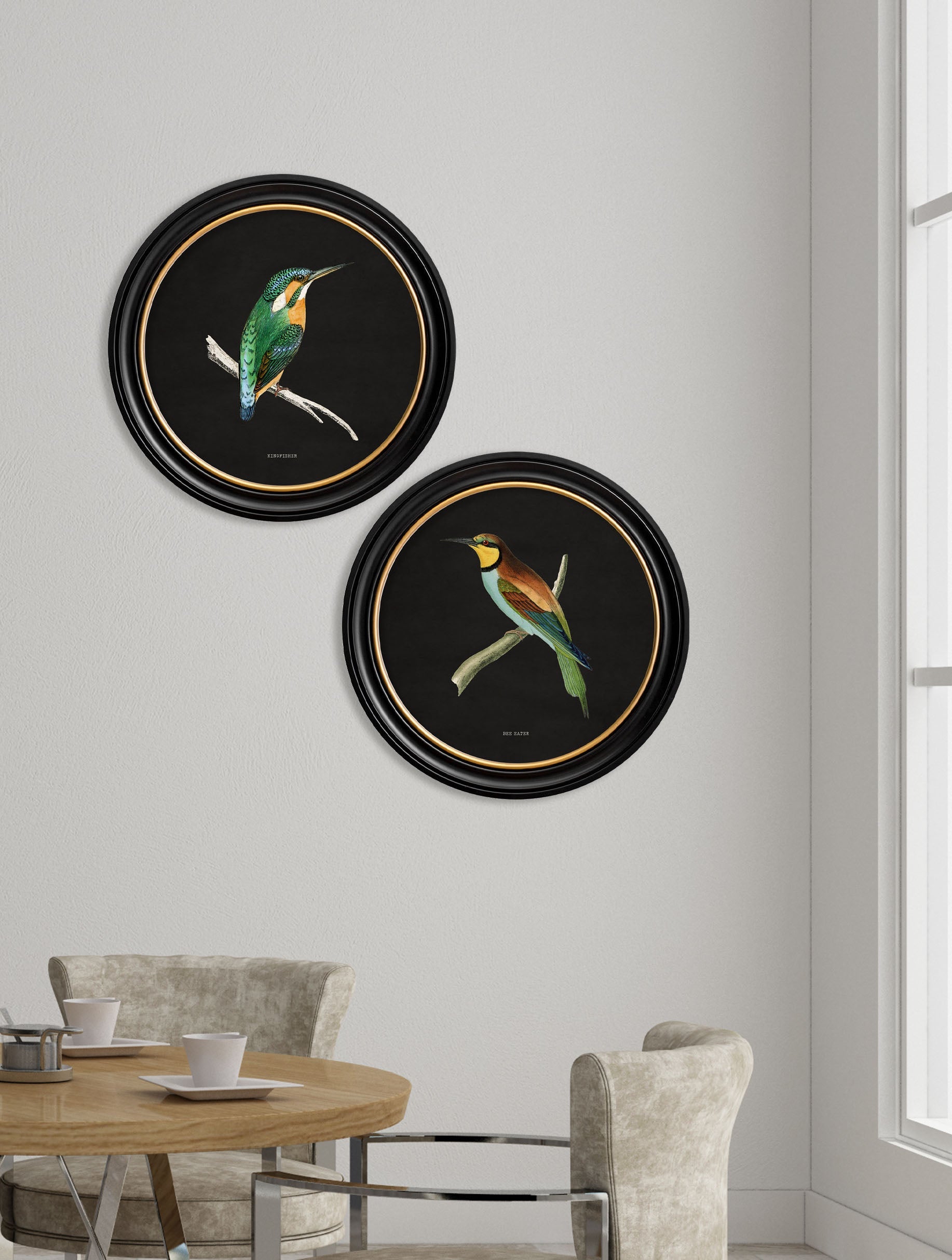 c 1870 kingfisher and bee eater black in size 44 x 44cm - glass-fronted framed wall art print with solid wood frame, designed for high-end interior design