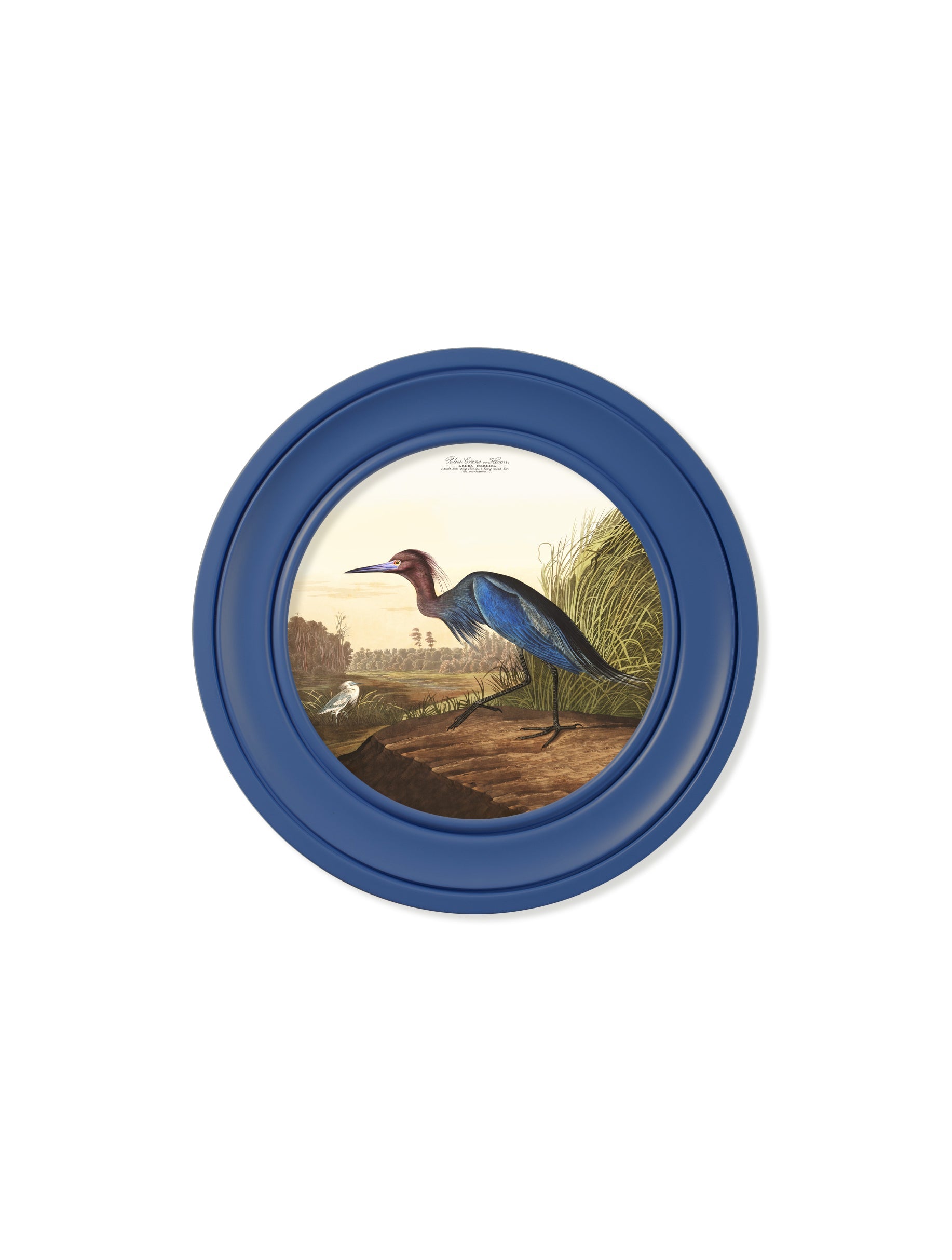 c 1838 audubons blue heron in blue frame in size 70 x 70cm - glass-fronted framed wall art print with solid wood frame, luxury wall art for sophisticated spaces
