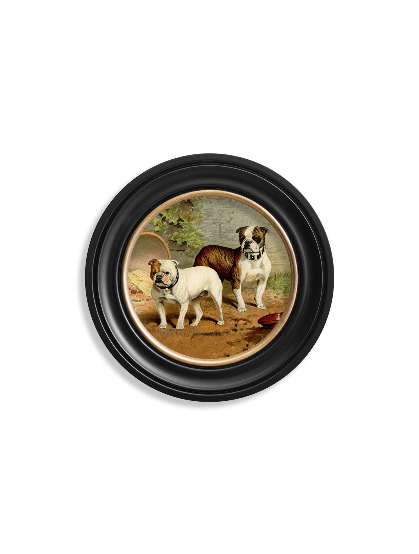 c 1881 dogs round frame in size 44 x 44cm - glass-fronted framed wall art print with solid wood frame, perfect for luxury home decor
