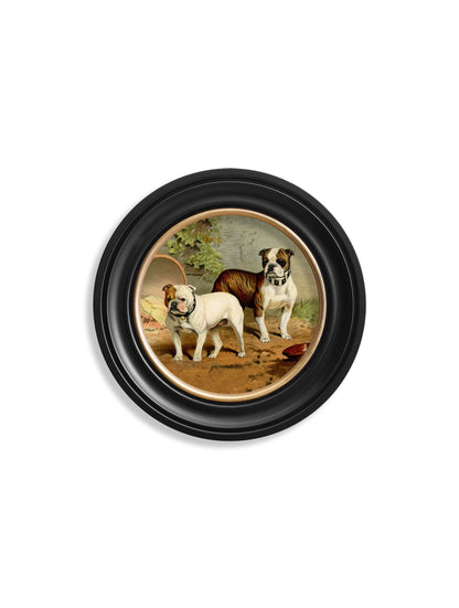 c 1881 dogs round frame in size 44 x 44cm - glass-fronted framed wall art print with solid wood frame, perfect for luxury home decor