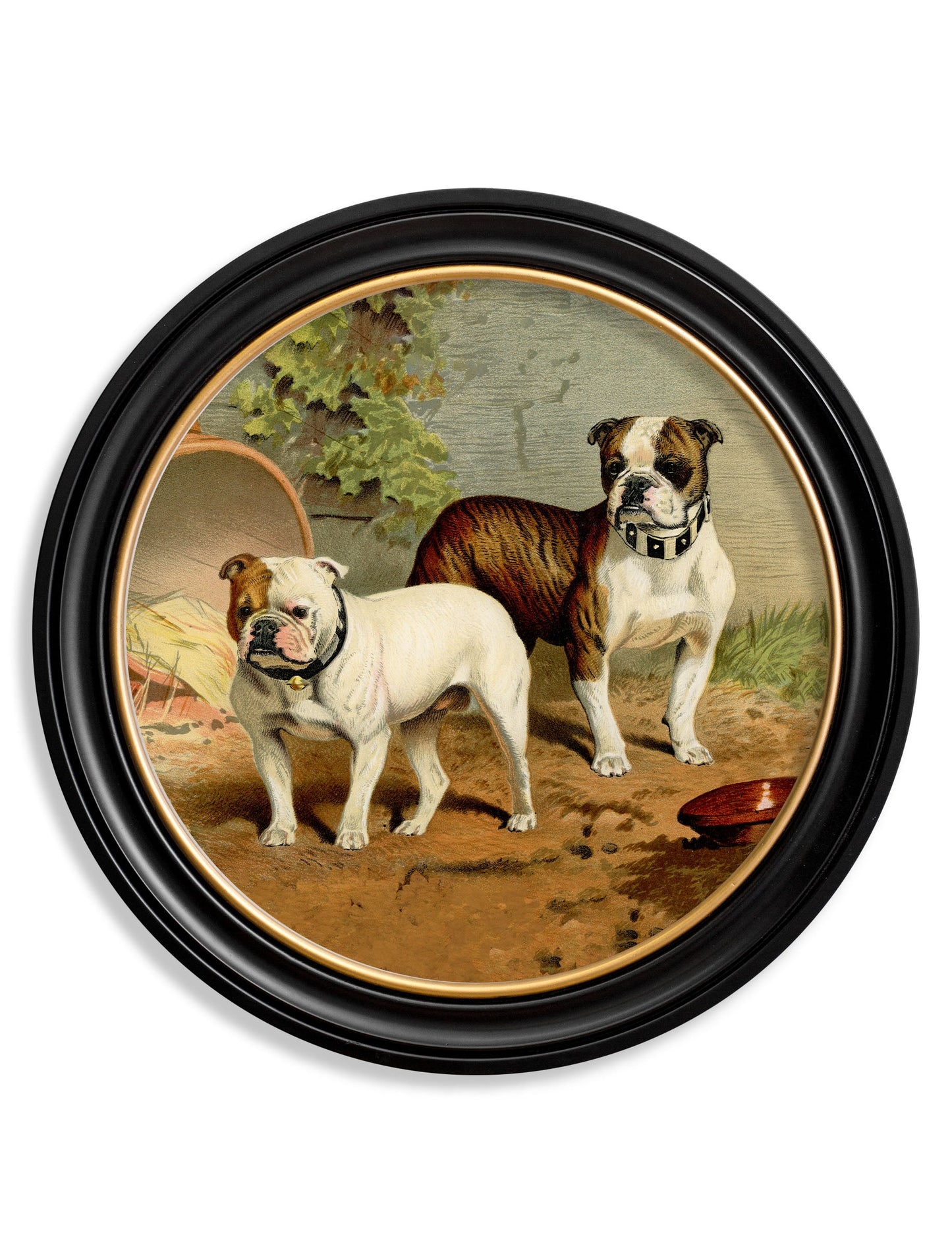 c 1881 dogs round frame in size 70 x 70cm - glass-fronted framed wall art print with solid wood frame, designed for high-end interior design