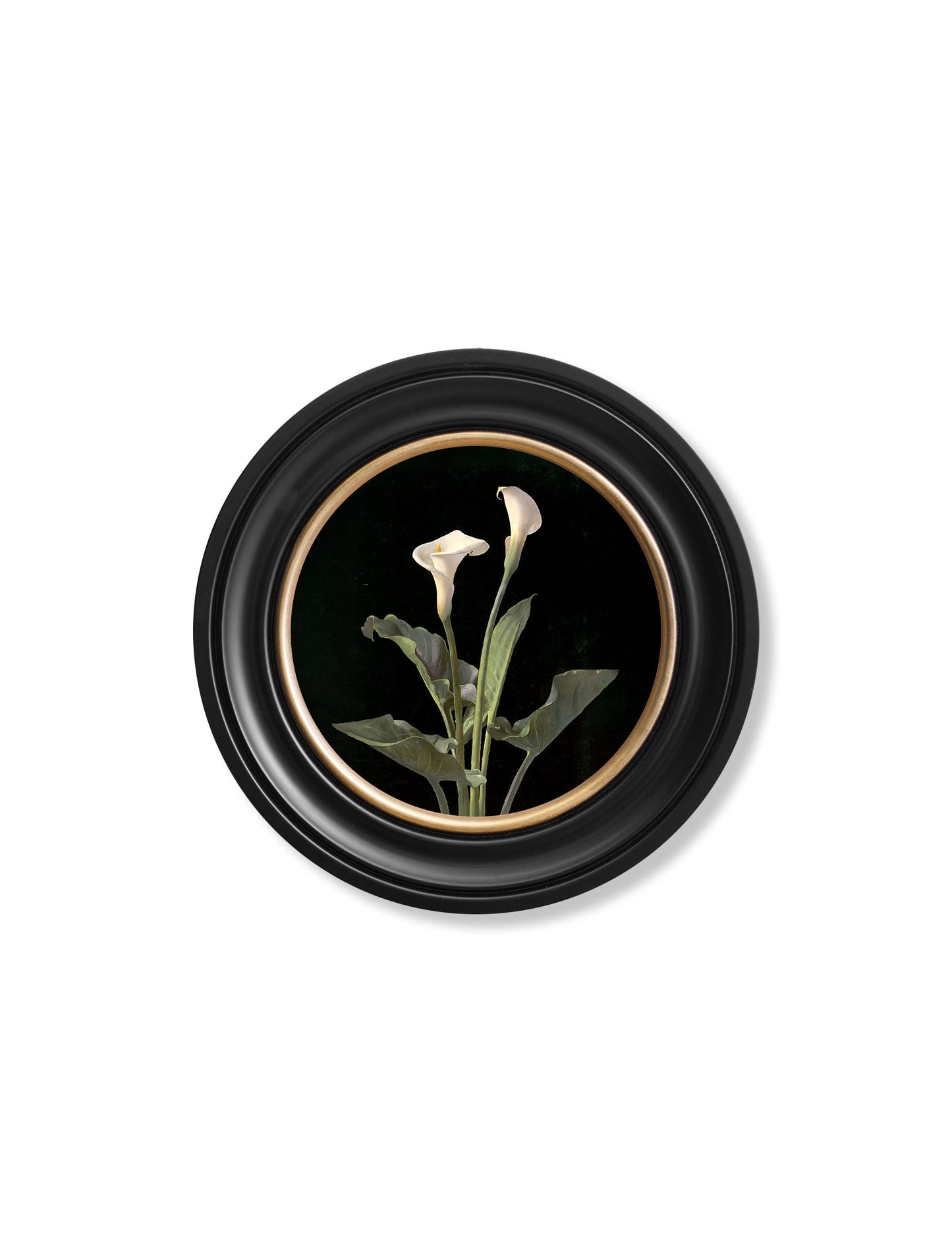 c 1874 george cochran lambdin lillys round frame in size 44 x 44cm - glass-fronted framed wall art print with solid wood frame, a beautiful addition to stylish homes