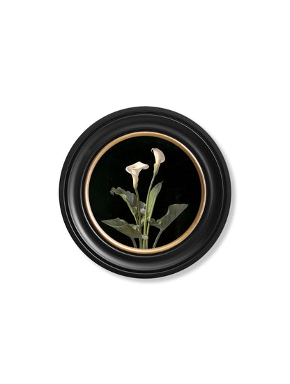 c 1874 george cochran lambdin lillys round frame in size 44 x 44cm - glass-fronted framed wall art print with solid wood frame, a beautiful addition to stylish homes