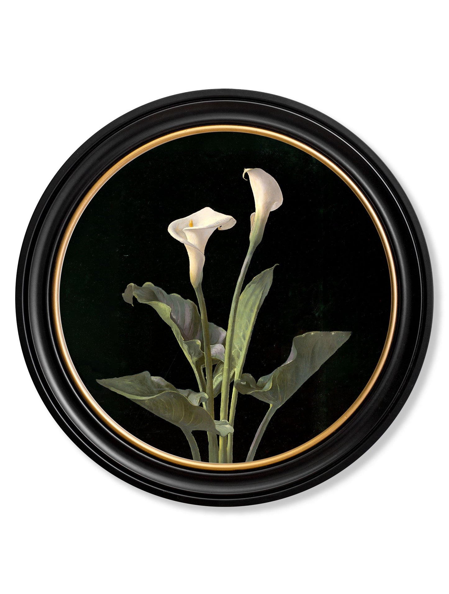 c 1874 george cochran lambdin lillys round frame in size 70 x 70cm - glass-fronted framed wall art print with solid wood frame, a beautiful addition to stylish homes