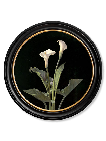 c 1874 george cochran lambdin lillys round frame in size 70 x 70cm - glass-fronted framed wall art print with solid wood frame, a beautiful addition to stylish homes