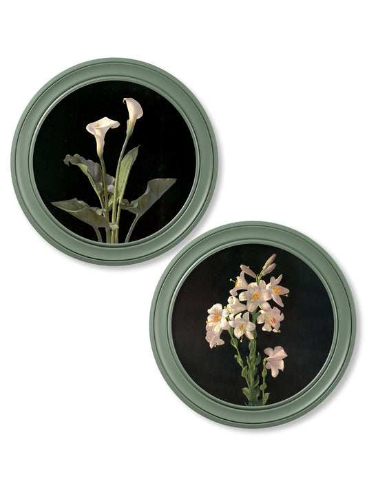 c.1874 George Cochran Lambdin Lillys - Round Frame Green in size 44 x 44cm - glass-fronted framed wall art print with solid wood frame, adds elegance to your decor