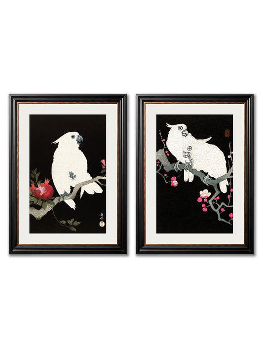 c.1910 Cockatoos - Ohara Koson in size 38 x 50cm - glass-fronted framed wall art print with solid wood frame, ideal for modern interiors