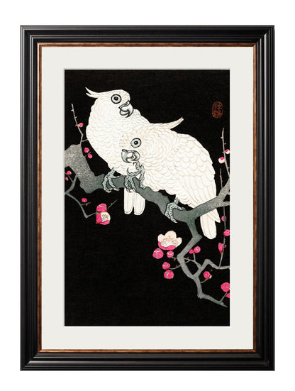 c 1910 cockatoos ohara koson in size 38 x 50cm - glass-fronted framed wall art print with solid wood frame, adds elegance to your decor