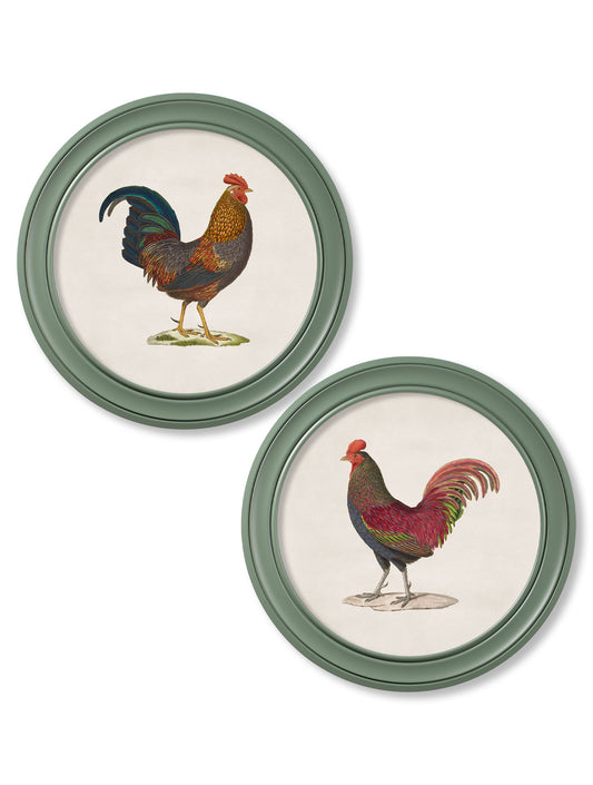 c.1838 Junglefowl in Round Frames Green in size 44 x 44cm - glass-fronted framed wall art print with solid wood frame, ideal for modern interiors