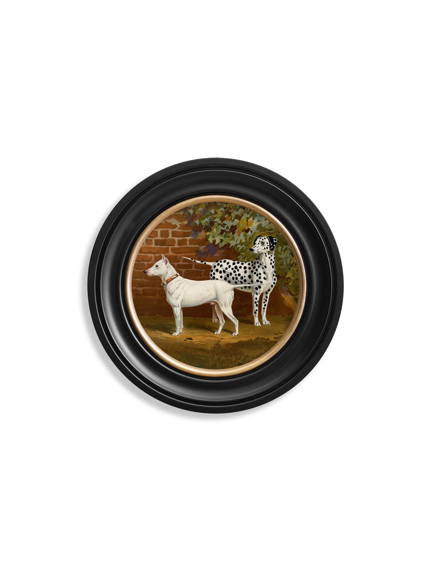 c 1881 dogs round frame in size 70 x 70cm - glass-fronted framed wall art print with solid wood frame, a beautiful addition to stylish homes