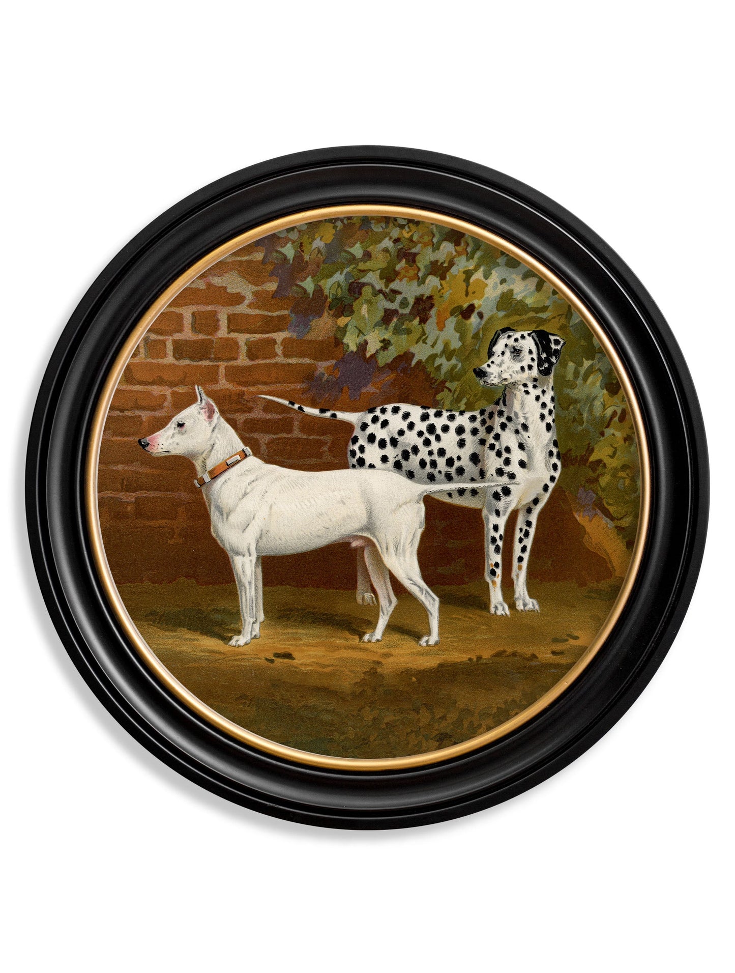 c 1881 dogs round frame in size 70 x 70cm - glass-fronted framed wall art print with solid wood frame, luxury wall art for sophisticated spaces