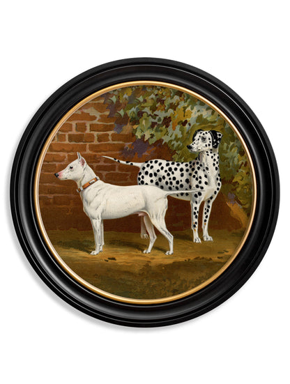 c 1881 dogs round frame in size 70 x 70cm - glass-fronted framed wall art print with solid wood frame, luxury wall art for sophisticated spaces